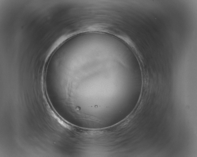 X0000081301294200701111415