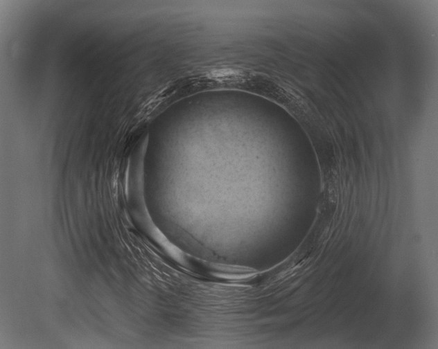 X0000081301298200701111414