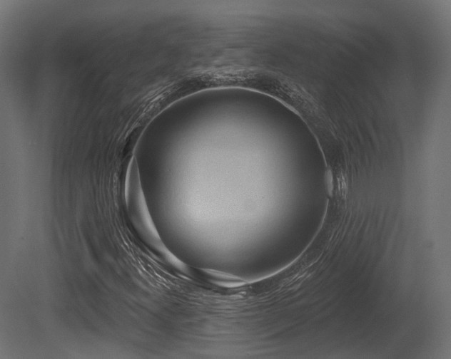 X0000081301300200701111414