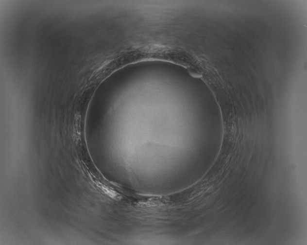 X0000081301301200701111414