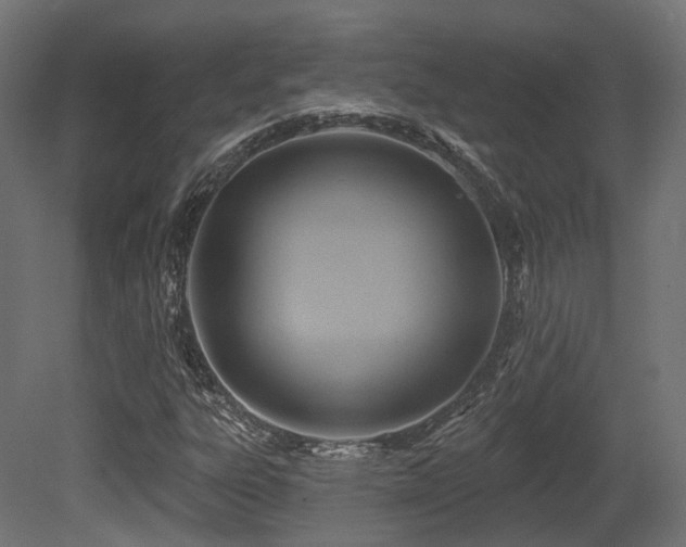 X0000081301303200701111414