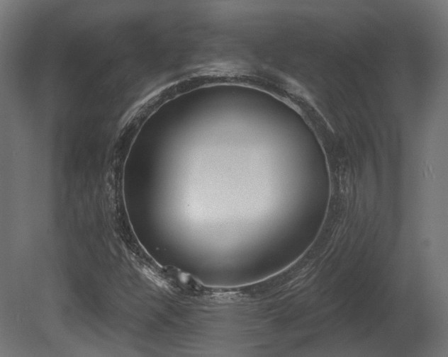 X0000081301304200701111414