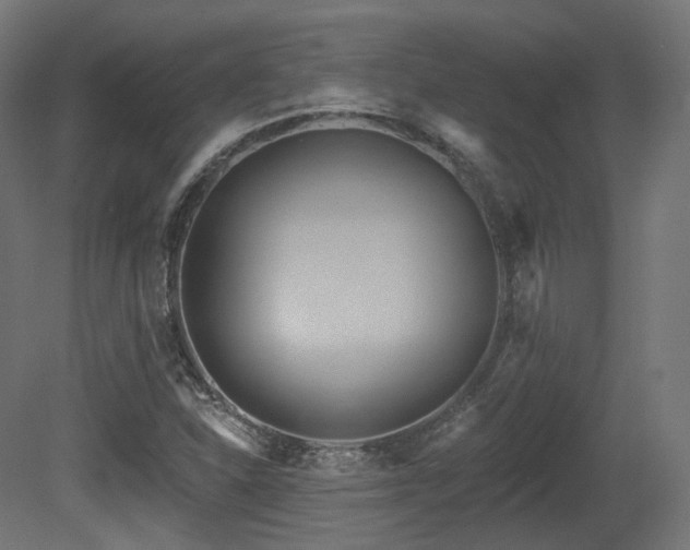 X0000081301310200701111414