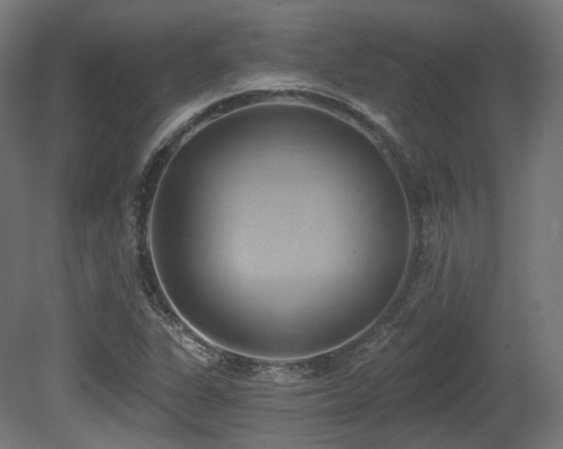 X0000081301311200701111414