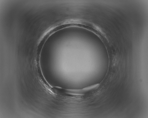 X0000081301312200701111414