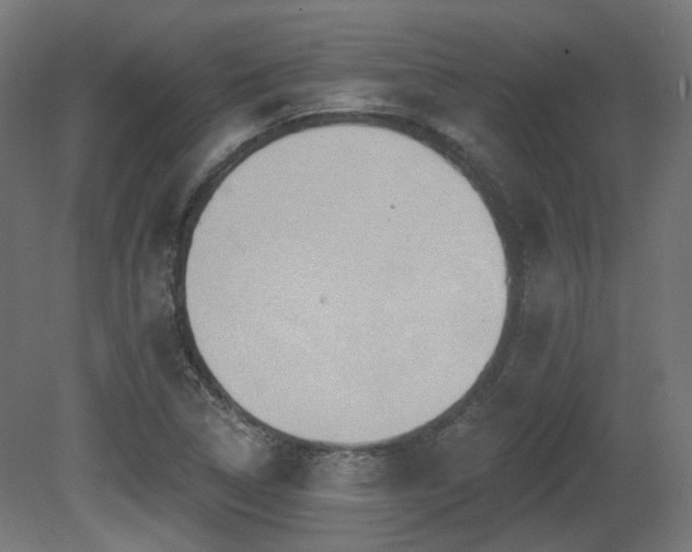 X0000081301314200701111414