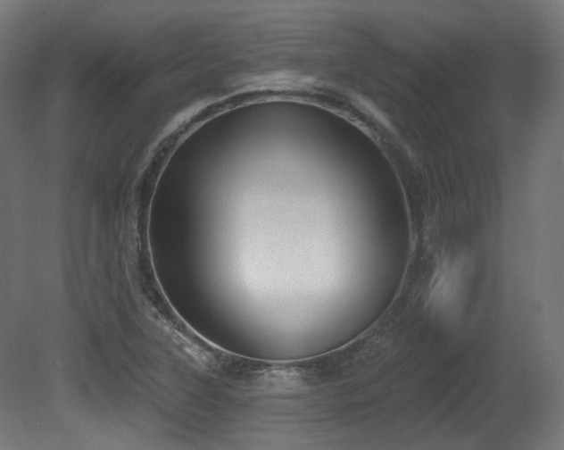 X0000081301315200701111414