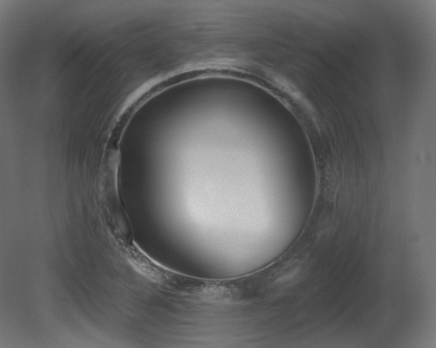 X0000081301316200701111414