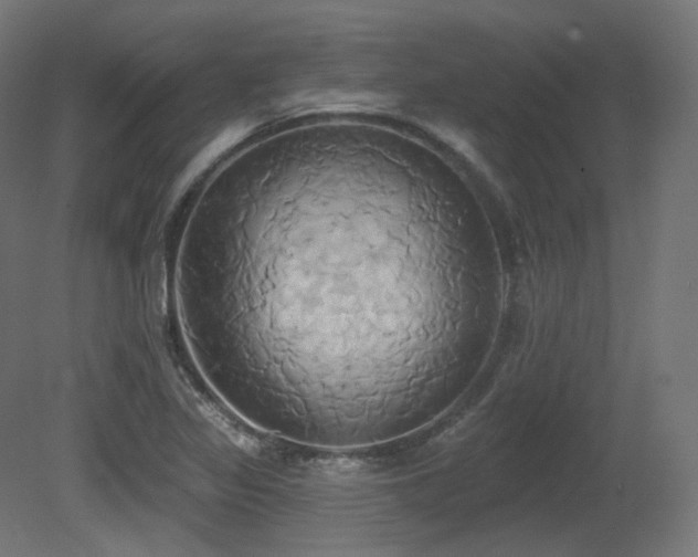 X0000081301317200701111414