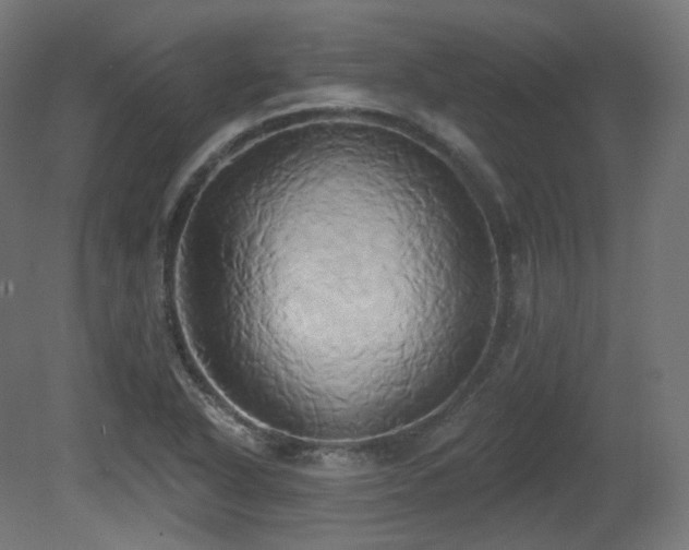 X0000081301318200701111414