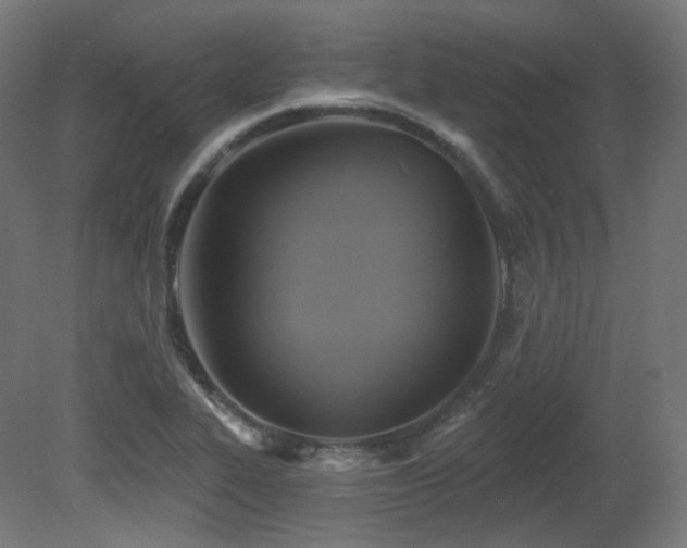 X0000081301319200701111414