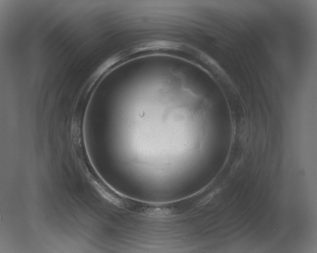 X0000081301321200701111414