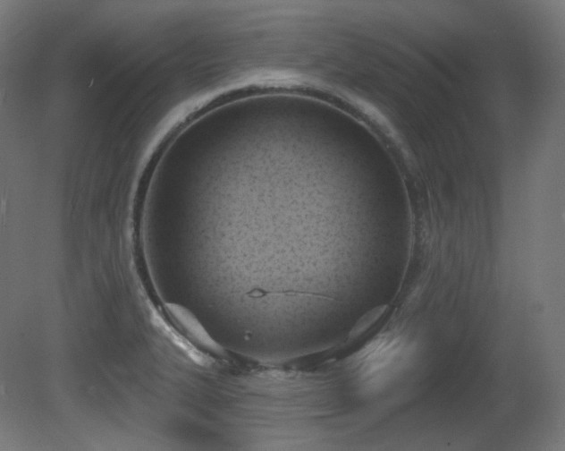 X0000081301327200701111414