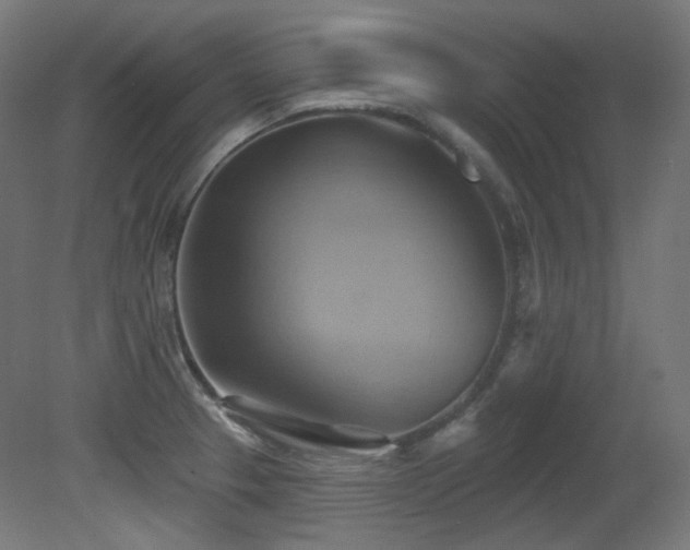 X0000081301329200701111414