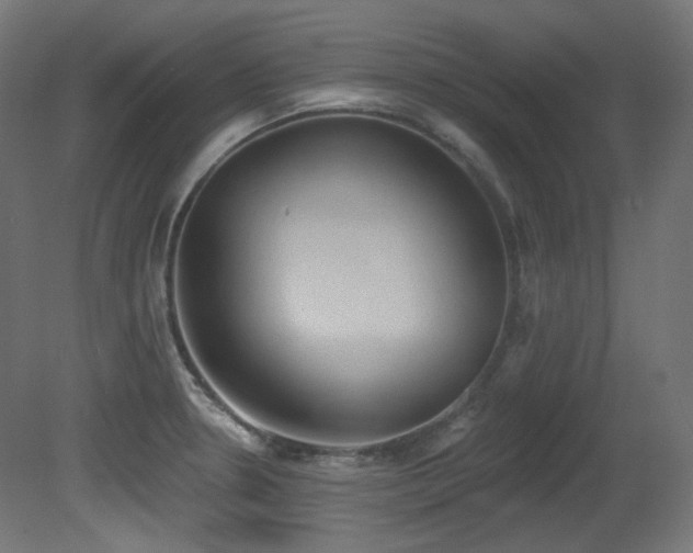 X0000081301330200701111414