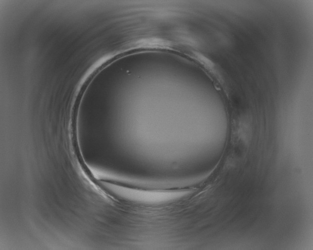 X0000081301331200701111414