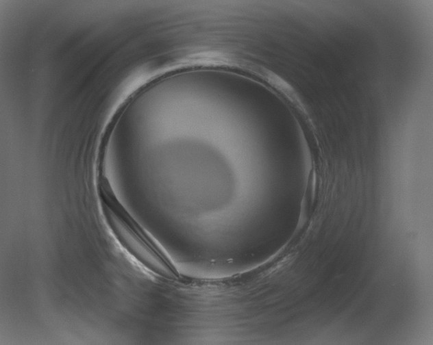 X0000081301334200701111414