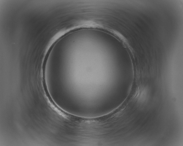 X0000081301335200701111415