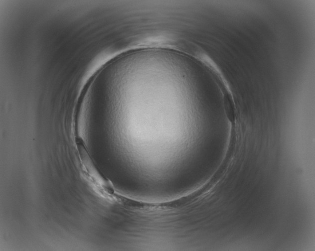 X0000081301336200701111415