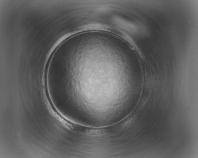X0000081301339200701111415