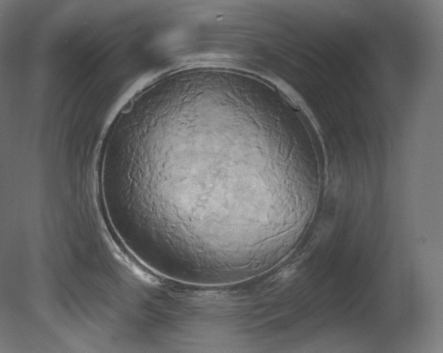 X0000081301341200701111415