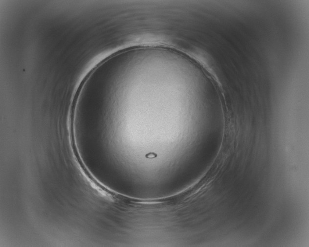 X0000081301343200701111415