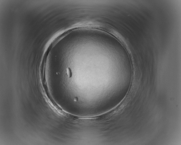 X0000081301344200701111415