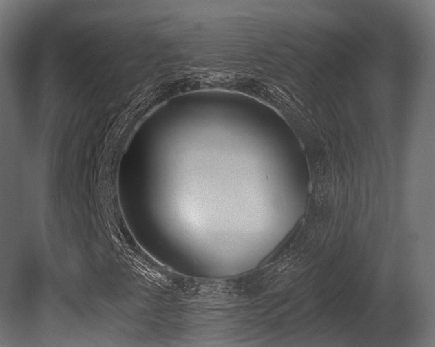 X0000081301345200701111414