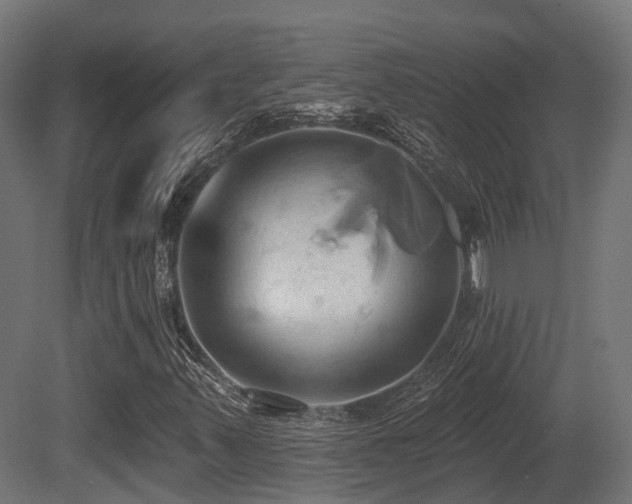 X0000081301347200701111414