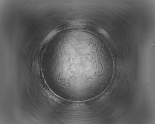 X0000081301354200701111414