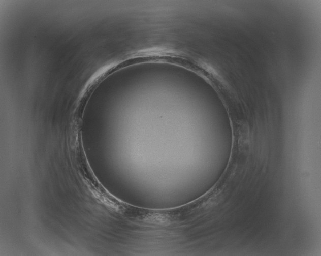 X0000081301358200701111414