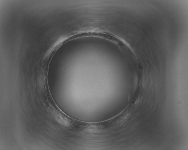 X0000081301359200701111414