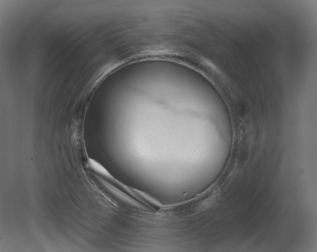 X0000081301361200701111414