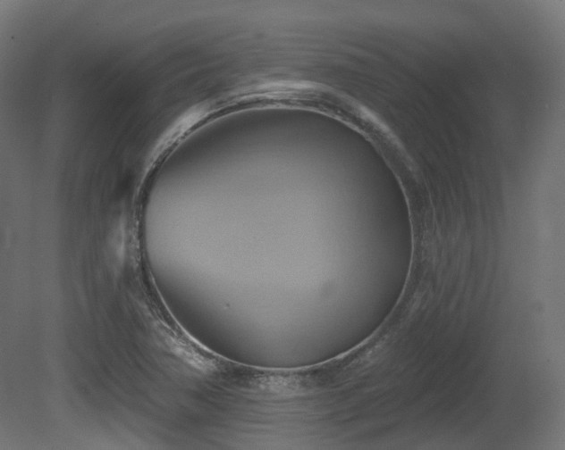 X0000081301362200701111414