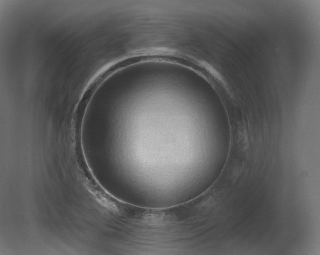 X0000081301364200701111414