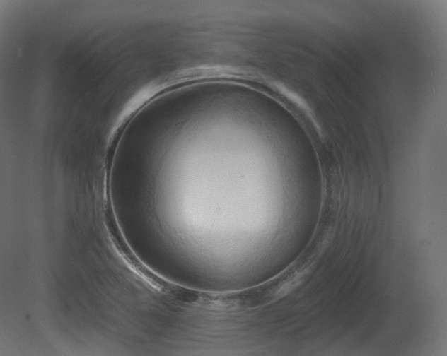 X0000081301365200701111414