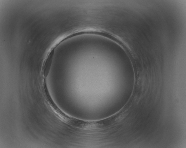 X0000081301367200701111413