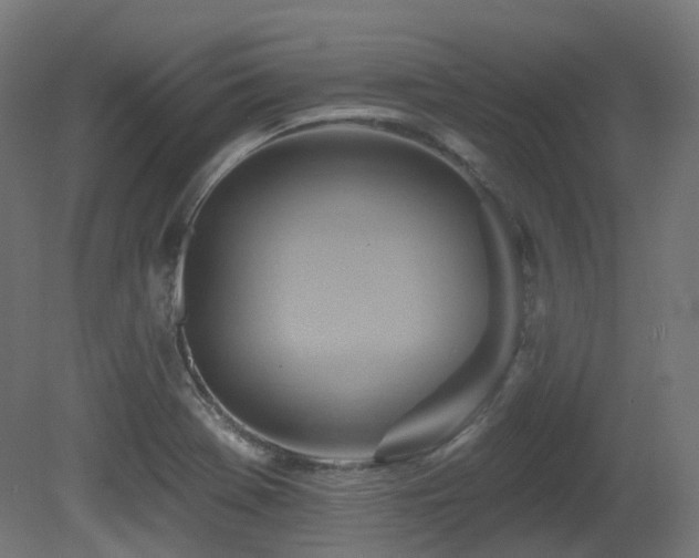 X0000081301369200701111413