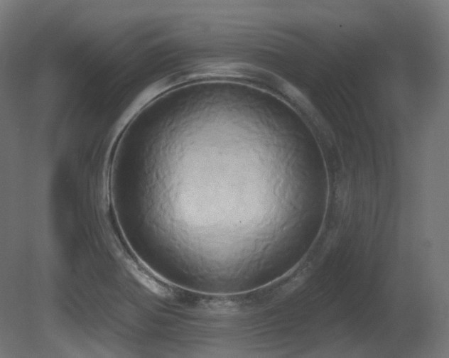 X0000081301370200701111413