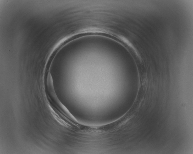 X0000081301372200701111413