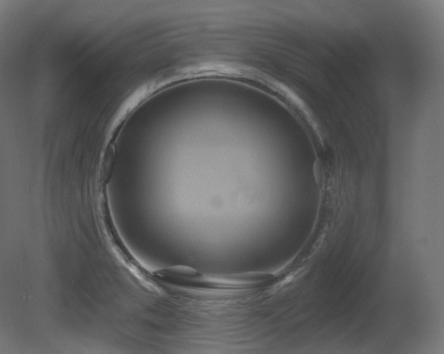 X0000081301373200701111413