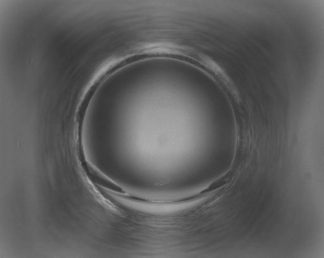 X0000081301376200701111413