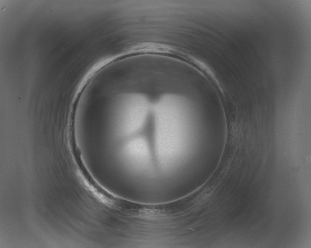 X0000081301379200701111413