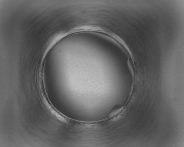 X0000081301381200701111413