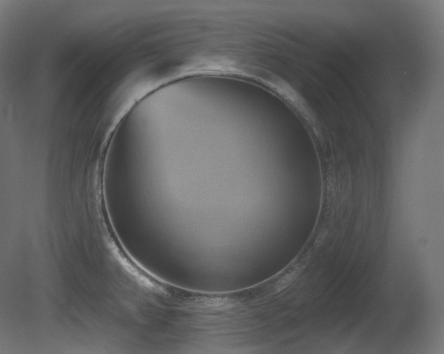 X0000081301382200701111413