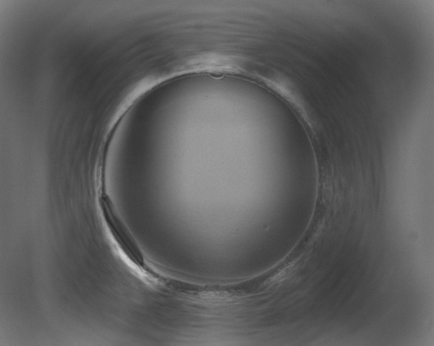 X0000081301383200701111413