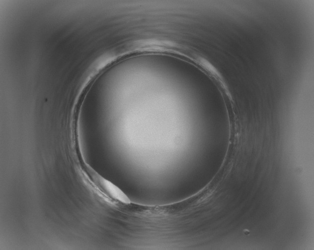 X0000081301384200701111413