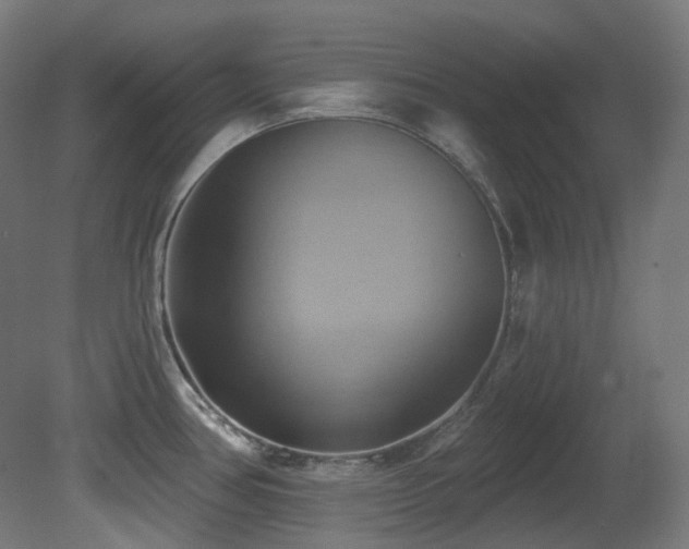 X0000081301386200701111413