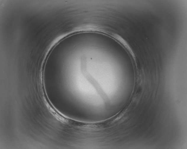 X0000081301388200701111413