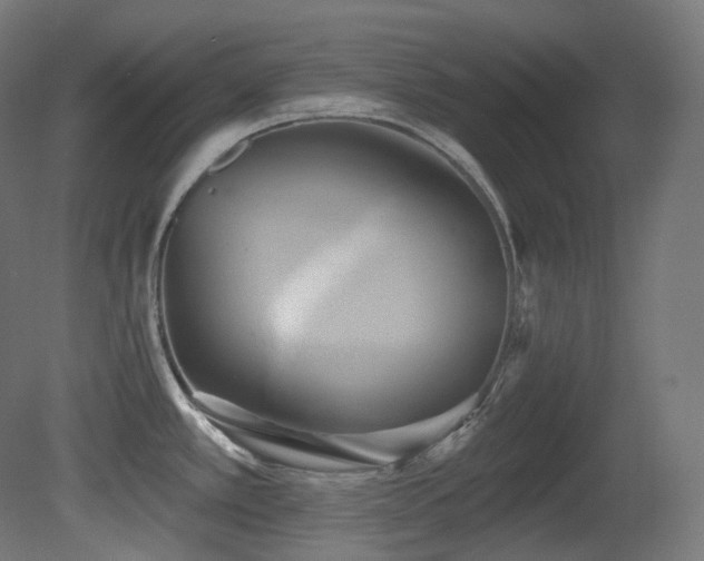 X0000081301389200701111413